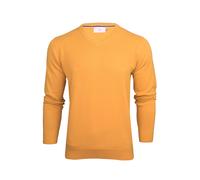 Xact Pull à col en V en coton pour homme