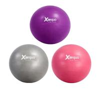 XAEQUO Ballon d'exercices Yoga Pilates Fitness et renforcement Musculaire diamètre 56cm en Couleur (Gris)