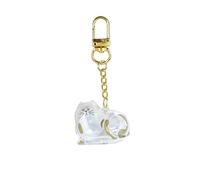 XAGMODSHN Boîte à souvenirs en acrylique transparent en forme de chat pour animaux domestiques, décoration de sacs à dos