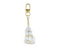 XAGMODSHN Boîte à souvenirs en acrylique transparent en forme de chat pour animaux domestiques, décoration de sacs à dos