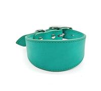 XAGMODSHN Collier large rembourré en cuir véritable pour lévriers italiens