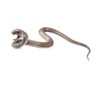 XAGMODSHN Comme un serpent en caoutchouc réaliste figurine de serpent jouet pour oiseaux de jardin et écureuils poisson d'avril