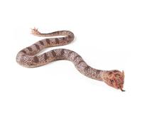 XAGMODSHN Comme un serpent en caoutchouc réaliste figurine de serpent jouet pour oiseaux de jardin et écureuils poisson d'avril