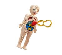 XAGMODSHN Puzzle D'assemblage du Corps Humain pour Jouet 'Apprentissage De La Main sur L'anatomie Tige en Plastique Sûre Projet Scientifique Éducatif 'Assemblage 'Anatomie