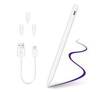 Xahpower Stylet pour iPad 2018-2024, Crayon Palm Rejection pour iPad Pro 11/13 M4, iPad Air 11/13 M2, iPad Pro 11/12,9", iPad 10/9/8/7/6e, iPad Air 5/4/3e, iPad Mini 6/5