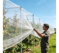 Xalteafe Filets Anti-grêle pour Jardin,Filets Anti Insecte Potager,Filets de Prévention Grêle Anti-Oiseau,Filets Anti-Grêle Haute Résistance Fils Renforcés,Réutilisable,pour Fruits Fleurs Cultures