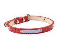 XANHOY Collier pour chat pour petits chiens, chat réglable avec nom et numéro de téléphone - Collier pour chiot