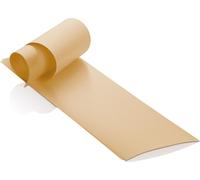 XanitaliaPro feuilles thermiques en mousse pour les traitements de coloration 9,5x30 cm - 200 pièces, doré