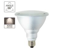 Xanlite ALPAR38 Par38 1200LM Ip44 E27 4000K Plastique + Aluminium 15 W Gris