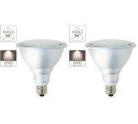 Xanlite ALPAR38 Par38 1200LM Ip44 E27 4000K Plastique + Aluminium 15 W Gris (Lot de 2)