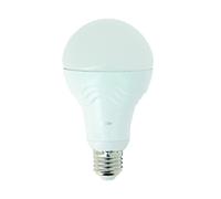 Xanlite Ampoule LED A60 Globe E27 - Angle D'Éclairage 180° - 14W Équivalant 100W - Blanc Froid 1521 Lm - ME1521GPW
