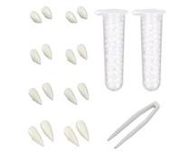 Xanthelle Dents de Vampire, 8 Paires Dents de Vampire Enfant et Adulte, Dents de Vampire Halloween à Enfiler et Coller, Canines Factices, Inclus Colle