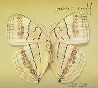 XAVIER RUDD - White Moth