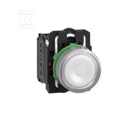 XB5AW31B5 Bouton lumineux 24V 1NO+1NC