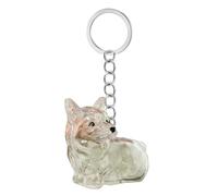xbiez Boîte à porte-clés commémorative transparente pour animaux de compagnie - Boîte de rangement miniature pour les propriétaires de chiens - Cadeau de voyage sentimental pour les parents