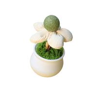 xbiez Herbe à chat d'intérieur pots de fleurs jouet pour chats améliorant l'humeur et l'activité divertissement, jouet pour chatons, cadeau pour améliorer le comportement des chats