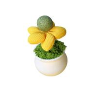 xbiez Herbe à chat d'intérieur pots de fleurs jouet pour chats améliorant l'humeur et l'activité divertissement, jouet pour chatons, cadeau pour améliorer le comportement des chats