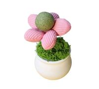 xbiez Herbe à chat d'intérieur pots de fleurs jouet pour chats améliorant l'humeur et l'activité divertissement, jouet pour chatons, cadeau pour améliorer le comportement des chats