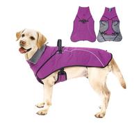 xbiez Manteau pour chien tendance pour activités de plein air, manteau chaud doublé pour animal domestique, coupe-vent, sangles réfléchissantes, vêtements d'extérieur pour grandes races