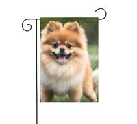 XBKGOHA Happy Short Haired Pomeranian Picture Garden Flag Pole Outdoor Courtyard Decoration Fashion 30,5 x 45,7 cm