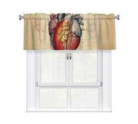 XBKGOHA Rideaux courts avec tringle à cantonnière - 137,2 x 45,7 cm - Anatomie humaine - Pour cuisine, salle de bain, chambre à coucher, studio - S'adapte à la plupart des tringles à rideaux standard
