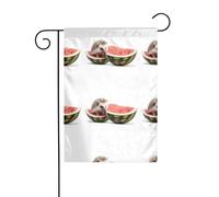 XBKGOHA Tableau de jardin motif petit hérisson sur pastèque - Décoration de cour extérieure - 30,5 x 45,7 cm