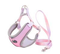 Xbsduih Ensemble de harnais et de laisse pour chats à l'épreuve de l'évasion, réglable, en maille, pour chiens, gilets, pour chiots, laisse de marche, durable et facile à utiliser (B), S
