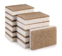 Xbsduih Éponges naturelles écologiques pour assiettes Lot de 12 éponges de cuisine biodégradables avec brosse compostable en noix de coco