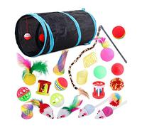 Xbsduih Lot de 22 jouets interactifs pour chats intérieurs Tunnel souris jouets pour chats chat teaser baguette jouet un ressort