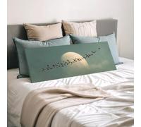 XBTYKPB Toile Oiseaux et Lune, Art panoramique sur toile, Impression encadrée horizontale allongée, Paysage Japandi mélancolique, Décoration murale zen (30x90cm/sans cadre)