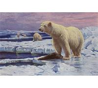 XcBAIHOUD Célèbre Art Mural Oeuvre Dimpression Animal polaire d'après Wilhelm Kuhnert Imprimer Affiche Pour la Décoration de Bureau 60x90cm