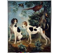 XcBAIHOUD Célèbre Art Mural Oeuvre Dimpression Pompée et Florissant les Chiens de Louis XIV par Desportes Imprimer Affiche Pour la Décoration de Bureau 60x90cm
