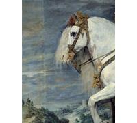 XcBAIHOUD Célèbre Image Sur Toile Wall Art Peintures Portrait équestre d'Isabelle de France épouse de IV par Diego Rodriguez Affiche Artistique Pour la Décoration de Bureau 60x90cm