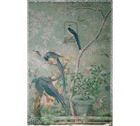 XcBAIHOUD Célèbre Image Sur Toile Wall Art Peintures une paire de geais pies découpés dans des oiseaux d'Amérique et collés sur du chinois par John Audubon Pour la Décoration de Bureau 60x90cm