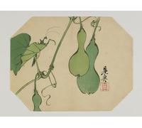 XcBAIHOUD De Célèbres Tableaux Imprimer Affiche Graffiti Paintings Impression pour une gourde Uchiwa sur une vigne avec une mante Era Meiji par Shibata Zeshin Pour Décoration Murale 60x90cm