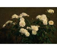 XcBAIHOUD De Célèbres Tableaux Imprimer Affiche Graffiti Paintings Nature morte de fleurs par Ignace Henri Jean Fantin Latour Toile Avec Image Pour Décoration Murale 60x90cm