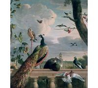 XcBAIHOUD De Célèbres Tableaux Imprimer Affiche Graffiti Paintings Palais d'Amsterdam avec oiseaux exotiques par Melchior De Hondecoeter Toile Avec Image Pour Décoration Murale 60x90cm