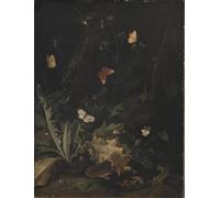 XcBAIHOUD De Célèbres Tableaux Imprimer Affiche Graffiti Paintings un sol forestier avec un chardon un serpent un lézard et des insectes par Otto Marseus Van Schrieck Pour Décoration Murale 60x90cm