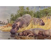 XcBAIHOUD De Célèbres Tableaux Landscape Picture Printing Prints Toile Hippopotame d'après Wilhelm Kuhnert Déco d'art Murale Pour Décoration Murale 60x90cm