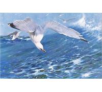 XcBAIHOUD De Célèbres Tableaux Landscape Picture Printing Prints Toile Mouette argentée de la faune du monde par Wilhelm Kuhnert Déco d'art Murale Pour Décoration Murale 60x90cm