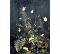 XcBAIHOUD Poster Image Affiche Artistique Toile Décorative Serpents et insectes par Otto Marseus Van Schrieck Peinture Murale Pour les Décorations pour la Maison 60x90cm