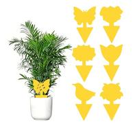 Xcdhemde® 60 Pcs Anti Moucherons Intérieur Plantes