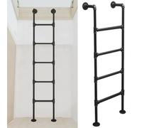 XCHSXYL Échelle de Secours Murale en métal pour sous-Sol, échelle de Secours Industrielle en Fer pour escalier d'escalade intérieur et extérieur (270 cm/106 Pouces)