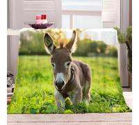 XCQHZYQ Couverture Plaid Polaire Animaux Âne Herbe 130x150 cm Douce et Chaude Confortable Microfibre Canapé Couverture Polaire avec Impression 3D, pour Canapé ou Chambre