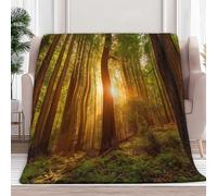 XCQHZYQ Couverture Plaid Polaire Enfant Hiver 100x150 cm, Nature Soleil Forêt Plaid Douillet Couverture de Canapé Couvre-Lit en Peluche Douce Moelleuse Jeté de Canapé, Vert