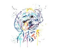 XCSQTYMY Peinture au Numéro Kits avec Brosses et Peintures Acryliques pour Adultes Enfants Seniors Débutant Chien Bichon Havanais DIY Peindre par Nombre, Peinture à l'huile de Bricolage