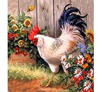 XCSQTYMY Peinture par numéro Kits Poulet coq poule Cadeau de Peinture à l'huile de Toile numérique Bricolage pour Enfants étudiants
