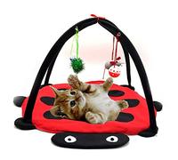 XCSSKG Tapis de jeu d'activité pour chat ou chaton pliable avec jouets suspendus