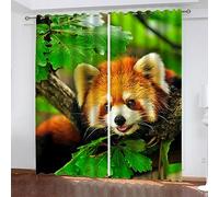 XCWYF Rideau Occultant Isolation Thermique Panda Roux Animal 2X B110x H215 cm 100% Polyester Rideaux Isolants, Rideau Intérieur à 0eillets Moderne Chambre Elégant, pour Salon&Pièce