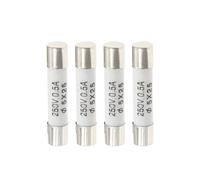 XDDQWSWA 10PCS Fusible RO55 5 * 25mm Fusible 250V 0.5A 1A 2A 3A 4A 6A 8A 10A 15A 20A 25A 30A 5X25MM(10PCS 13A)